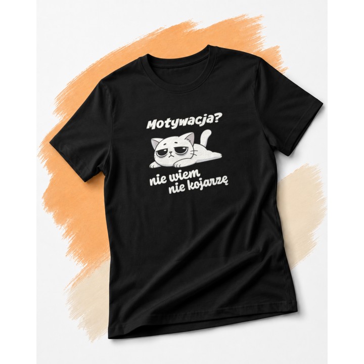 Motywacja - nie wiem nie kojarzę - z kotem smutnym - main - BLACK_ORANGE_1