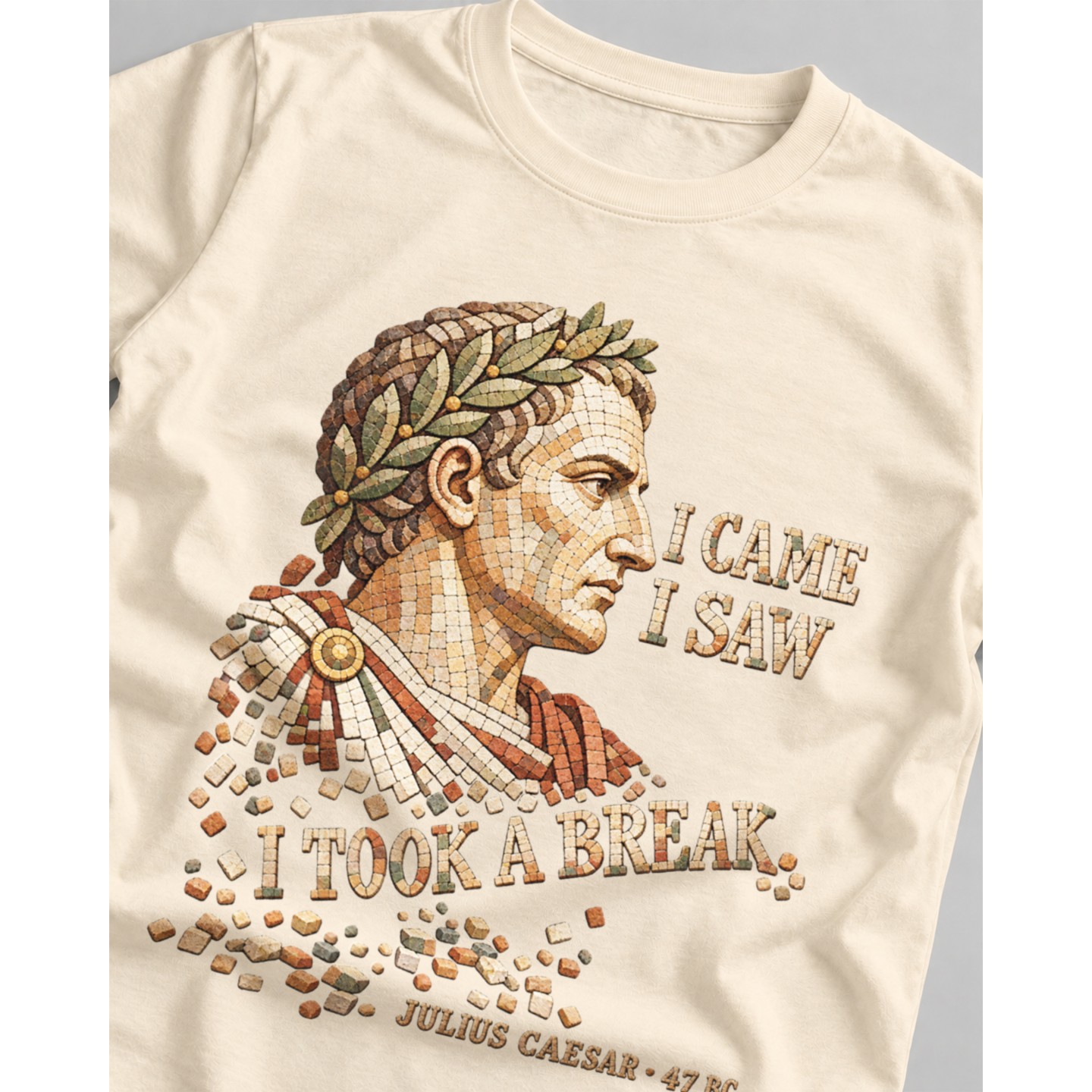 Koszulka z nadrukiem Julius Caesar I came I saw I took a break