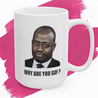 Kubek meme „WHY ARE YOU GAY?” do biura dla kumpla mem