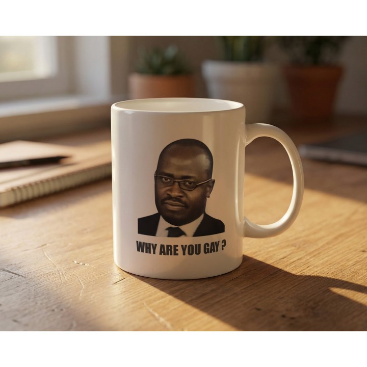 Kubek meme „WHY ARE YOU GAY?” do biura dla kumpla mem